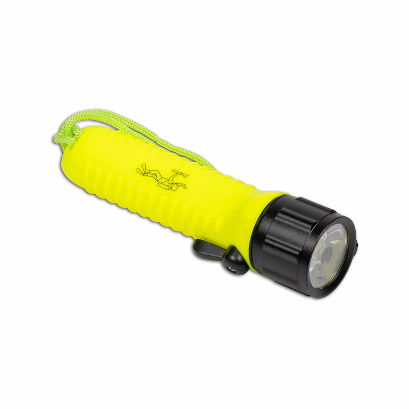 Online Swimming Pool Leak Detection Training and Certification Course