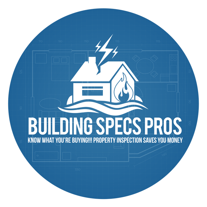 Building Spec Pros of San Diego: Excellence in Leak Detection Powered by LeakTronics