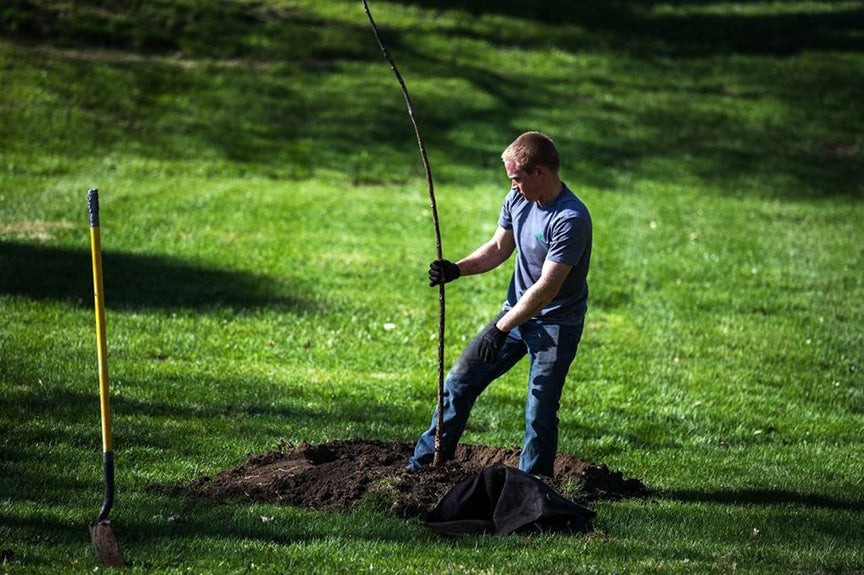 Digging Up What Builders Left Behind — LeakTronics
