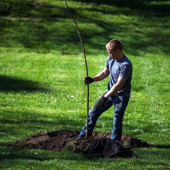Digging Up What Builders Left Behind Find Water Lines