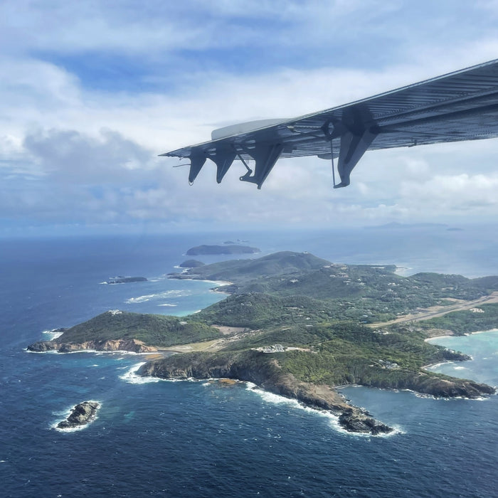 LeakTronics Travels to Mustique Island in the Caribbean