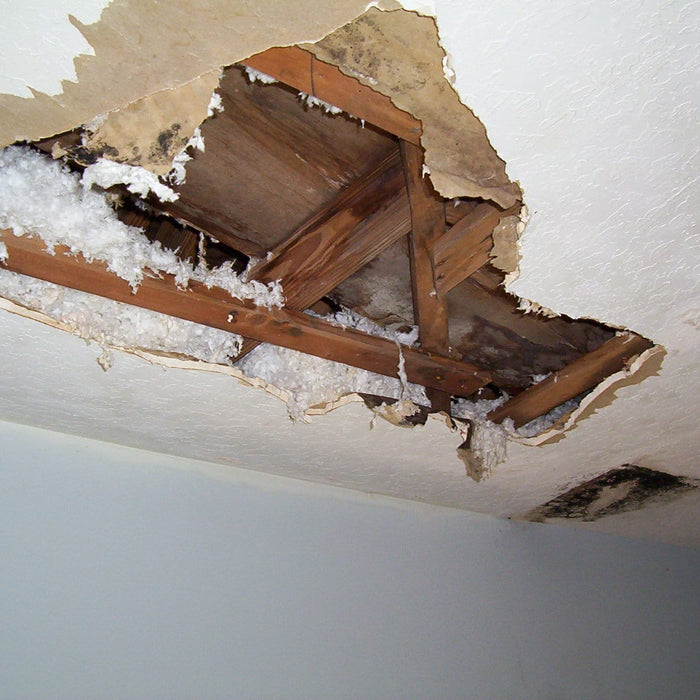 Water Damage