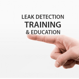 Online Leak Detection Training
