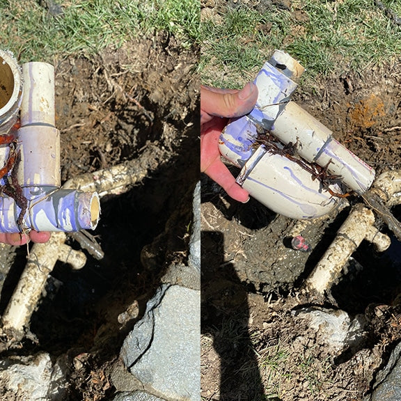 root damage