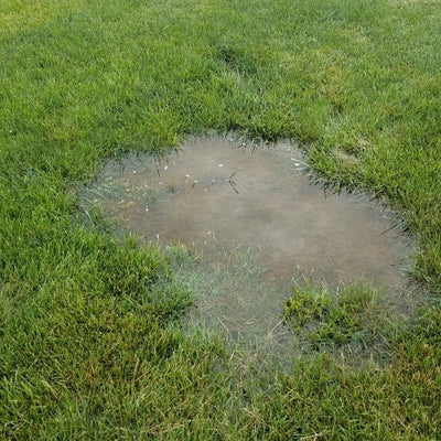yard line leak