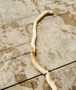 Pipes not properly winterized