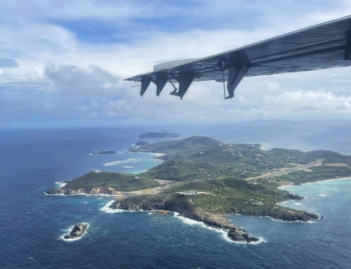 LeakTronics Traveled to Mustique Island in the Caribbean