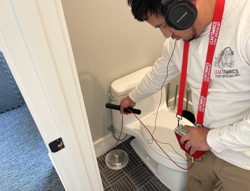 Tackling Plumbing Water Leaks with LeakTronics Before the Heat Hits