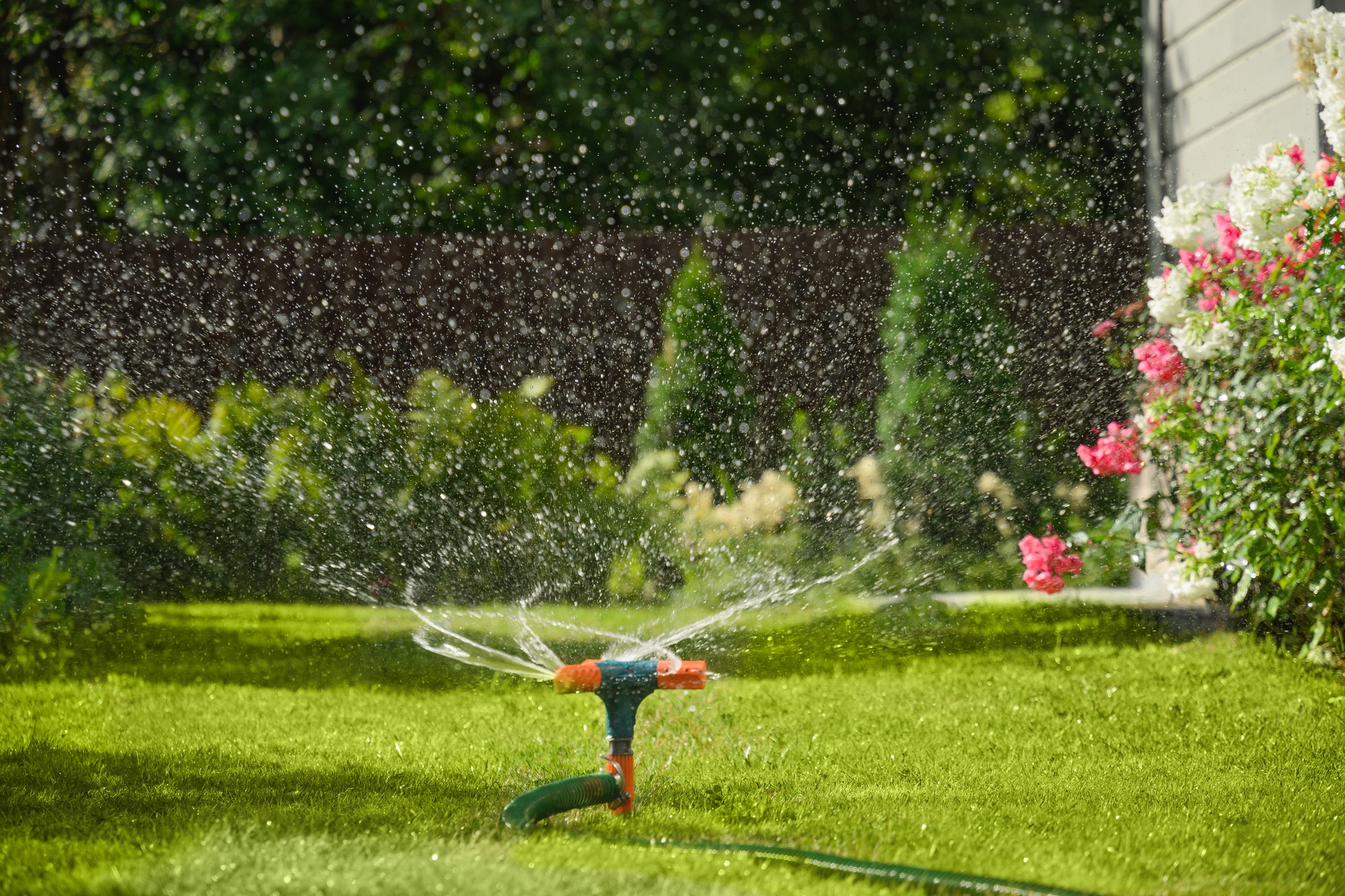 Smart Watering: Automatic Sprinkler Systems Prevent Costly Leaks