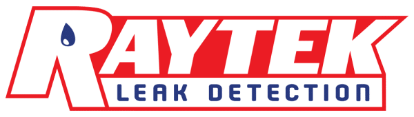 Raytek Leak Detection
