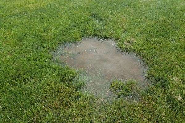yard line leak